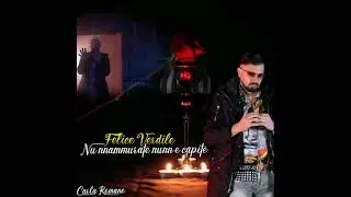Felice Verdile Nu nammurate nunn e capite #feliceverdile #neomelodico