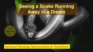 Seeing a Snake Running Away in a Dream Spiritual Meaning, Interpretation & Symbolism