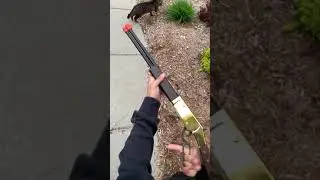 reloading my cat