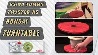 Desi hack for Bonsai turntable &ndash; टमी ट्विस्टर को बोन्साई टर्नटेबल की तरह इस्तेमाल करें