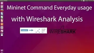 Mininet Command Everyday usage with Wireshark Analysis