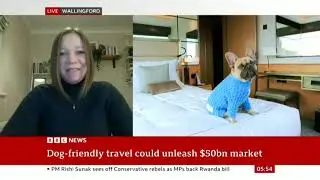 BBC News : lots of info about Dog friendly travel