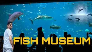 Paradeep Marine Aquarium !! Fish !! Marine Aquarium In Paradeep !! Best Aquarium In Odisha