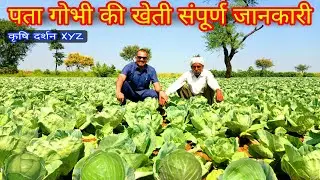 Cabbage farming || पत्ता गोभी की खेती संपूर्ण जानकारी || Patta gobhi || Band gobhi || A - Z जानकारी