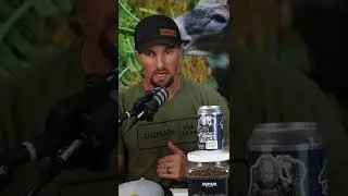 Can you overseed into beans?