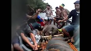 Trip from Saula to Navabu village for bride price. Milne Bay Province. Suau custom. 