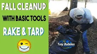 How to do Leaf Cleanup | Simple way