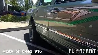 SACRAMENTO LOW RIDERS