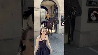 A Bow of Respect: Japanese Tourist and Royal Horse Share a Moment |