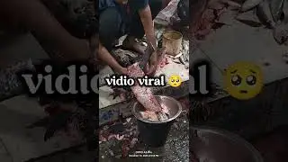12 kj to. Ojon er mach Katar vidio 