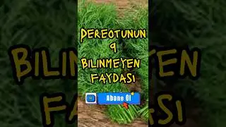 Dereotunun 9 Bilinmeyen Faydası
