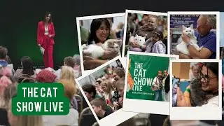 The Cat Show Live