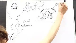 Y9 Eating less meat to mitigate climate change