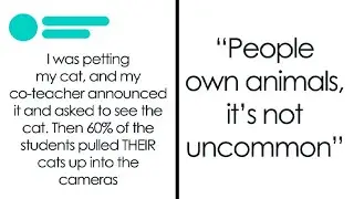 When Online &lsquo;Lie Detectors&rsquo; Got Exposed&hellip; Because the Truth Was Even Funnier 😂📱🔥
