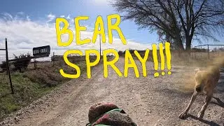 BIG Dog ATTACKS BIG TEX/Amputee Cyclist Aaron Smith/BEAR/Pepper SPRAY/Mace/Pimienta/Self Defense