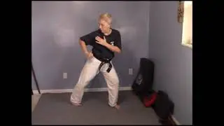 Tracy Kenpo Karate Purple Belt Lesson 4
