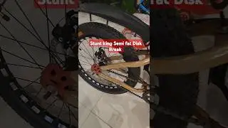 Alloy rim mini fat bike cycle with disc brake #firefoxcycle #bicycle #fatbike #mtbreview