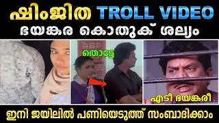 ജയിലിൽ ഭയങ്കര കൊതുക് ശല്യം |  Shimjitha Musthafa Arrest Troll | Trolappy2