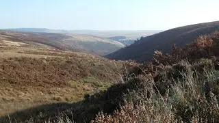 A breezy walk around Brendon Common on Exmoor National Park