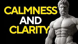 The Stoic&rsquo;s Guide to Calmness and Clarity