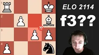 One Fast Finish, One Long Grind | Bird / Dutch Speedrun Ep. 38