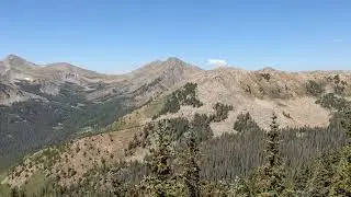 2025-09-01 treeline ~12.1K and 3 miles up towards Mt Yale 