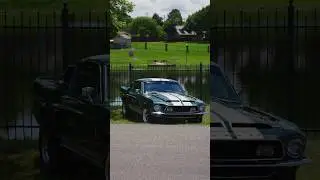 Shania | 1968 Ford Mustang Shelby Cobra GT-350 for your next Music Video 🎬