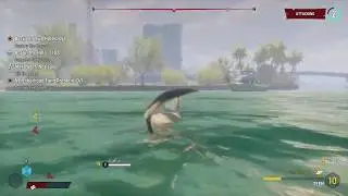 Maneater - Episode 4: Ace In The Hole: Consume 10 Humans: Bounty Hunters Xbox One X Gameplay (2020)