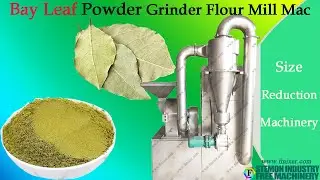 Bay Leaf grinder machine for spices powder grinding by Hammer mill with cyclone and dust collector