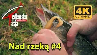 Nad rzeką odc. 04 | #Wędkarska Pasja 4K