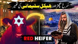 RED HEIFER & Construction of Solomon's Temple