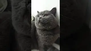 сейчас задумалась