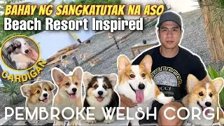 5 STAR RESORT INSPIRED KENNEL FOR PEMBROKE WELSH CORGI &bull; ZELTON CORGIS &bull; Sam Walastik