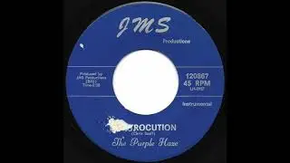 The Purple Haze - Electrocution (Corpus Christi, Texas garage/psych 45)