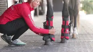 Sport Innovations PEMF MagMini Equine Leg Wrap Set