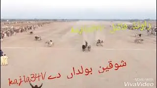 Peermahal bayipass open bailgadi race 2018 Final first 🏆Chena bail 193  lakha bail 208 Rb Faisalabad