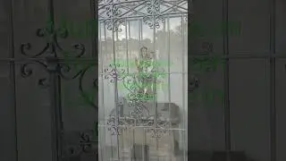 Mutter Gottes im Turm der alten Lahnbr&uuml;cke in Limburg #religion