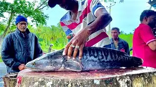 You Never Seen !!! 5KG Giant INVASIVE Snakehead Fish Cutting Live In Village Sri Lanka