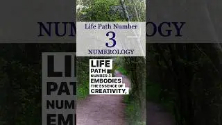 Numerology Life Path 3