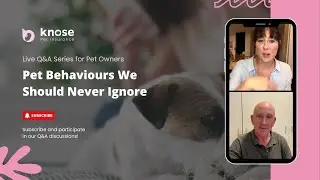 Pet Behaviours We Should Never Ignore | Q&A hosted by Laura x Knose