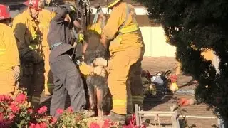 Firefighters use soap to free woman from chimney
