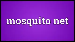 Mosquito net Meaning
