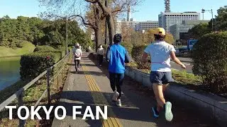 【4K】Walking in Tokyo Imperial Palace (Nov. 2021) | Winter is coming.
