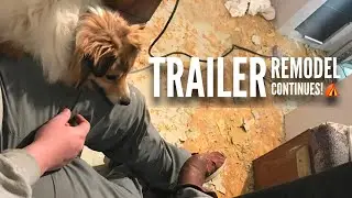 Continuing Our Tent Trailer Remodel! #2 | CAMPING WITH DOGS
