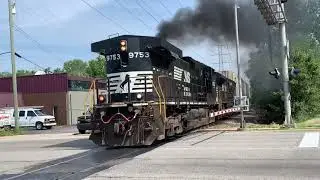 Nathan P5 Horn and Smokeshow on NS 9753!