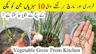 10 Vegetables Grow from Kitchen Seeds