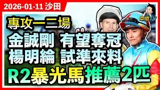 【中佬賽馬貼士】1月11日沙田日賽｜專攻一二場｜金誠剛 有望奪冠｜楊明綸 試準來料｜R2暴光馬推薦2匹#賽馬賠率#賽馬直播 #賽馬貼士#冷馬#高風險#高回報#提款馬#賽馬直擊#金誠剛#楊明綸