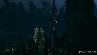 meme dark souls Wolf sif