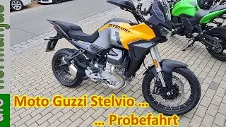 Moto Guzzi Stelvio Probefahrt. Ich bin echt &uuml;berrascht!