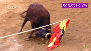 BORBOTO 04 Ganader&iacute;a el Saliner